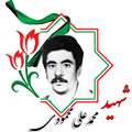 مادر شهید محمدعلی محمودی آسمانی شد